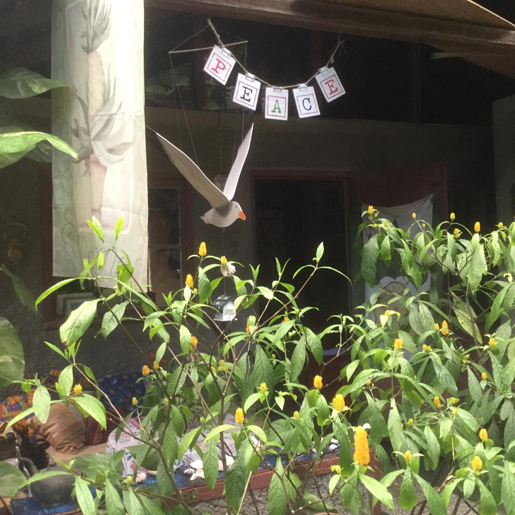 Dustry Cottages كينغستون المظهر الخارجي الصورة