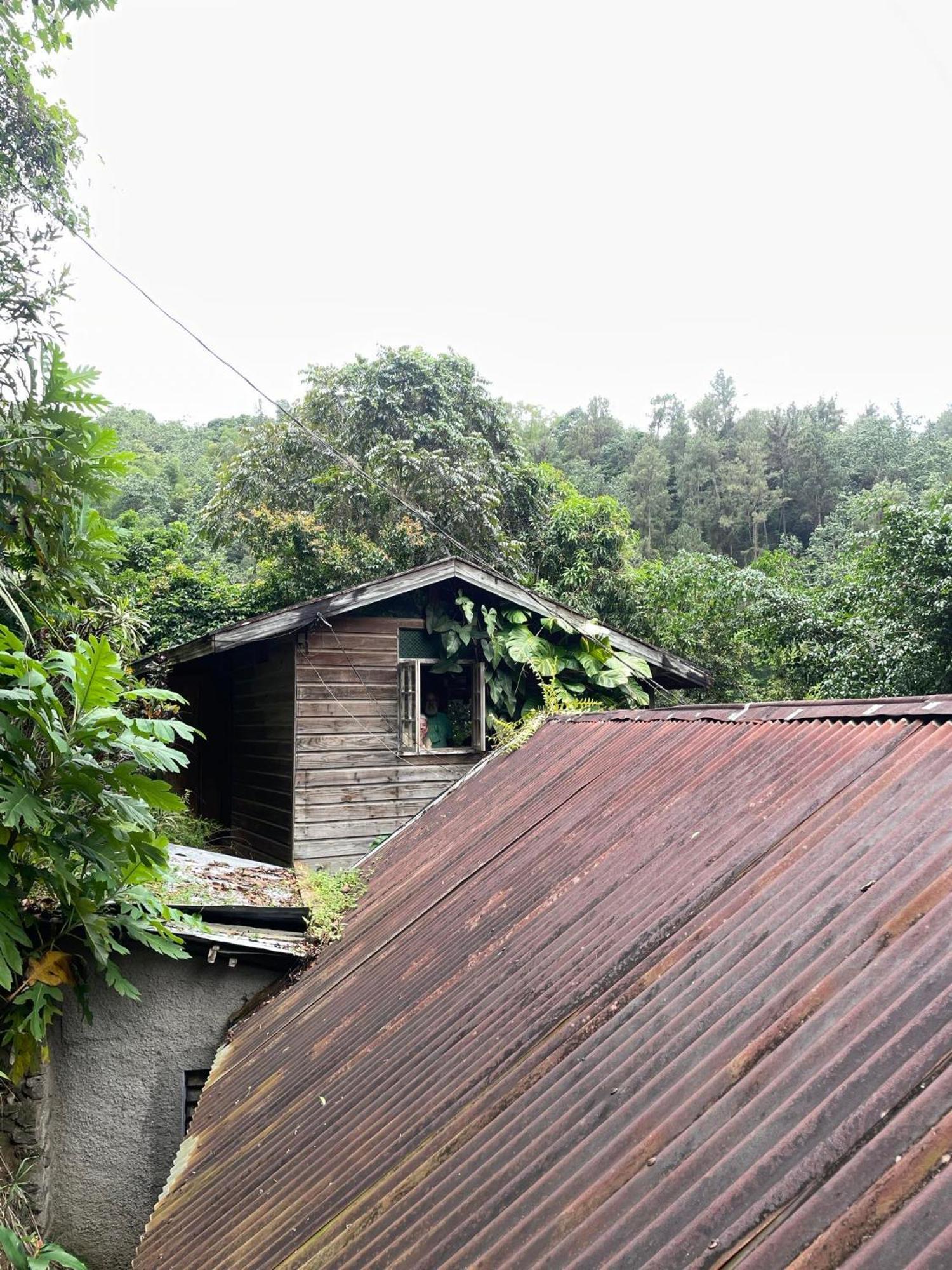Dustry Cottages كينغستون المظهر الخارجي الصورة